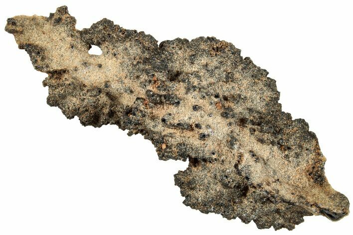 Fulgurite - Petrified Lightning #260437